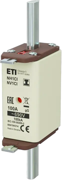 Vaizdas NH1C/I gG 100A/690V