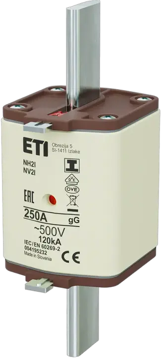 Vaizdas NH2/I gG 250A/500V