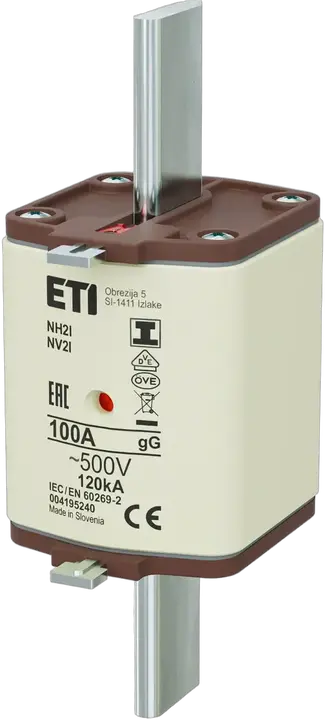 Vaizdas NH2/I gG 100A/500V