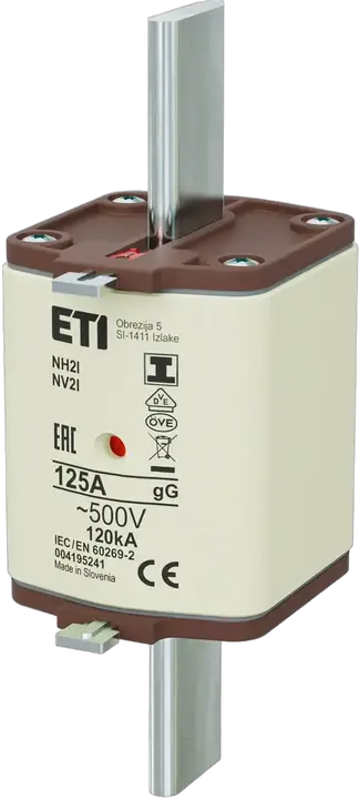 Vaizdas NH2/I gG 125A/500V