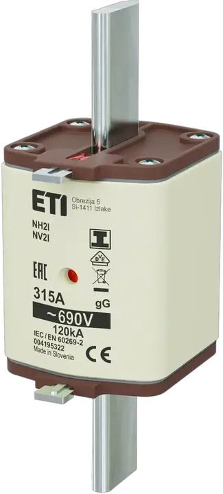 Vaizdas NH2/I gG 315A/690V
