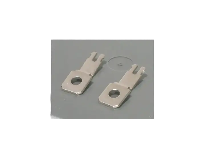 Vaizdas PLMPE