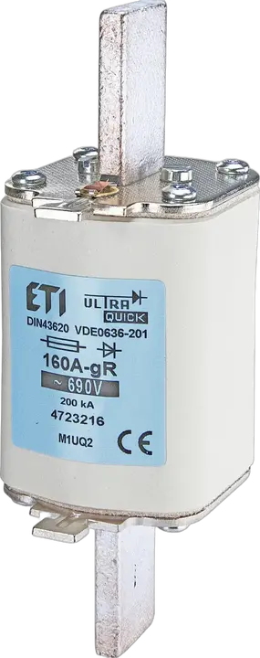 Vaizdas NH1/K UQ2 gR 100A/690V