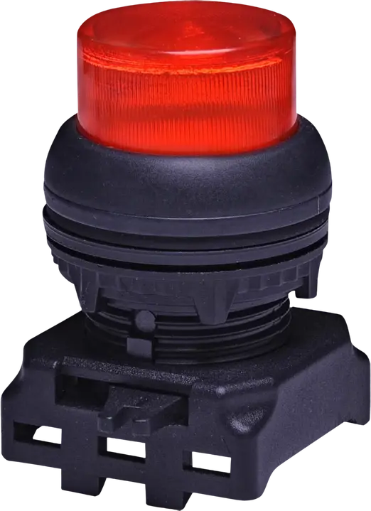 Vaizdas EGPI-R