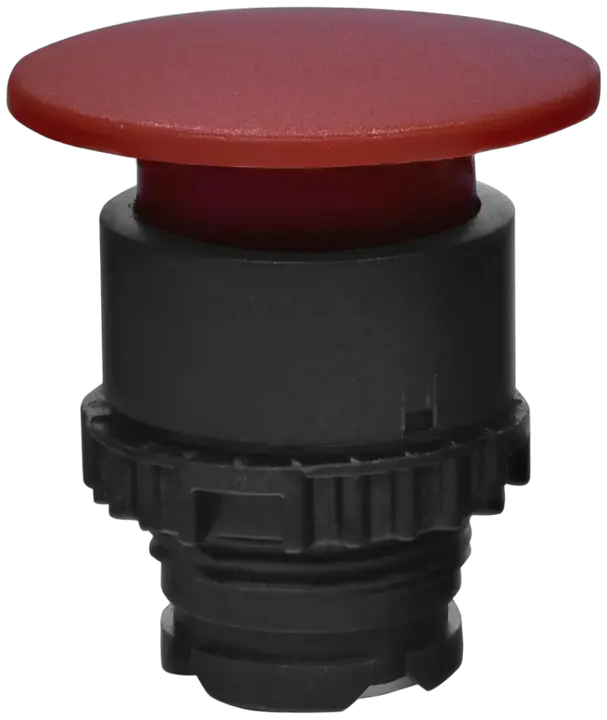 Vaizdas NSE-PBM-R