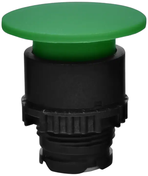 Vaizdas NSE-PBM-G