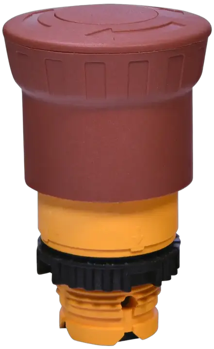 Vaizdas NSE-PBM-T-R