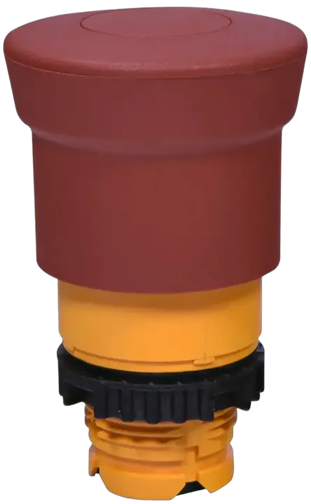 Vaizdas NSE-PBM-P-R