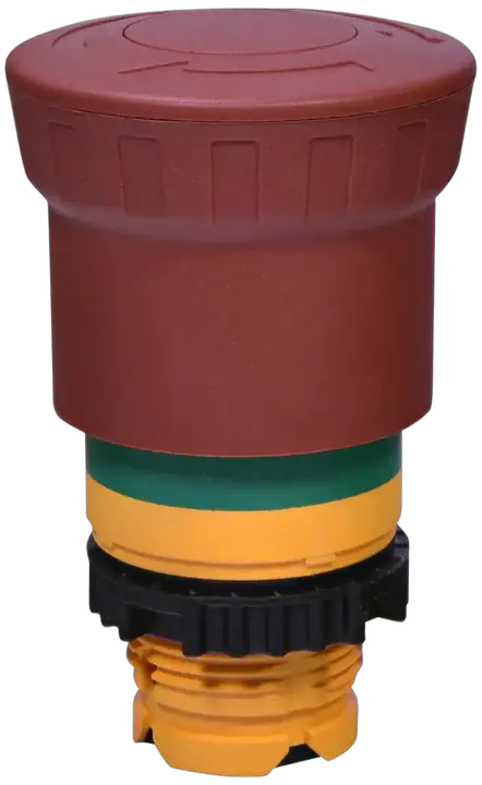 Vaizdas NSE-PBM-T-RG