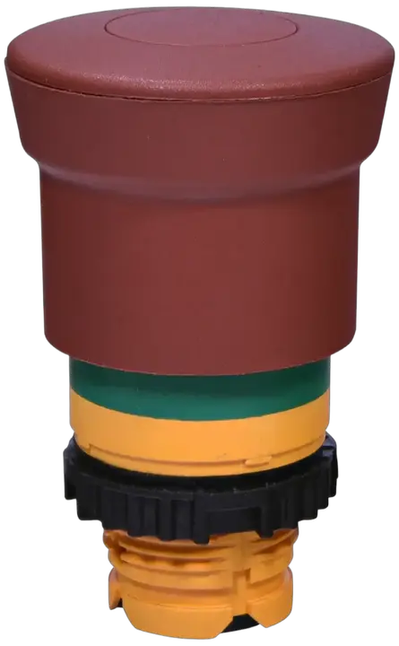 Vaizdas NSE-PBM-P-RG
