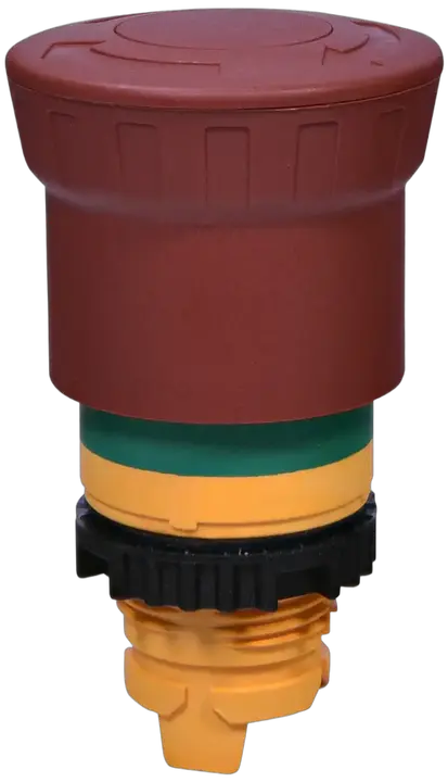 Vaizdas NSE-PBM-T-RGM