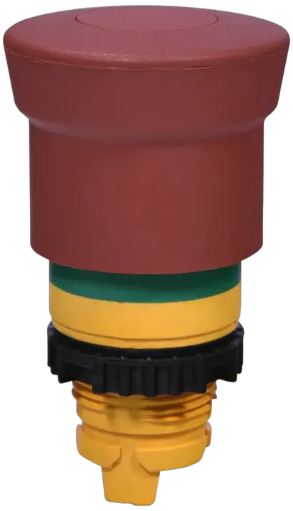 Vaizdas NSE-PBM-P-RGM