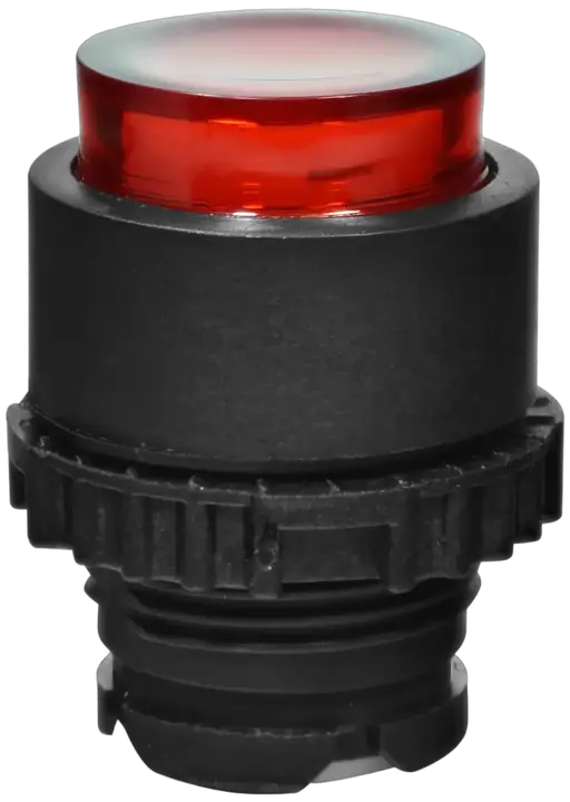 Vaizdas NSE-PBPI-R