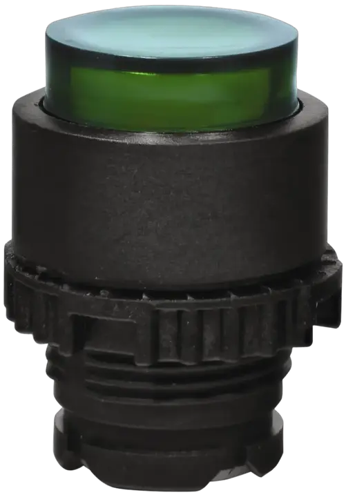 Vaizdas NSE-PBPI-G