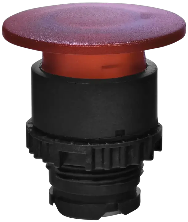 Vaizdas NSE-PBMI-R